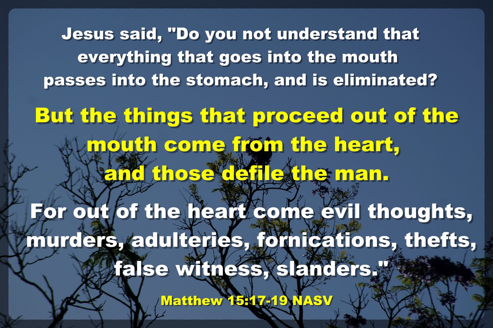matt15:17-19
